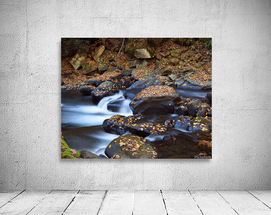 Water  30 Wall Preview