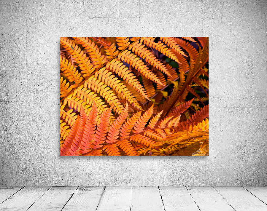 Autumn Color 28 Wall Preview