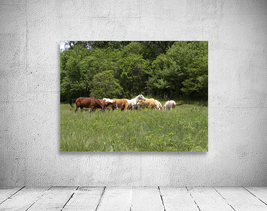 AnimalsInsects 1 Wall Preview