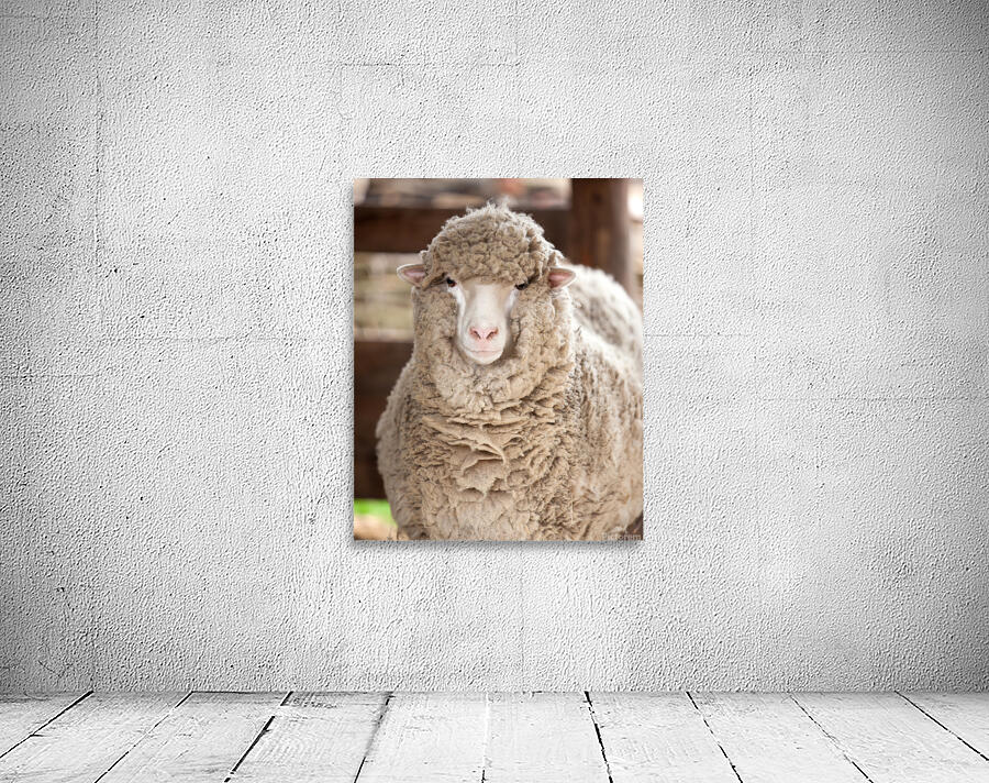 AnimalsInsects 15 Wall Preview