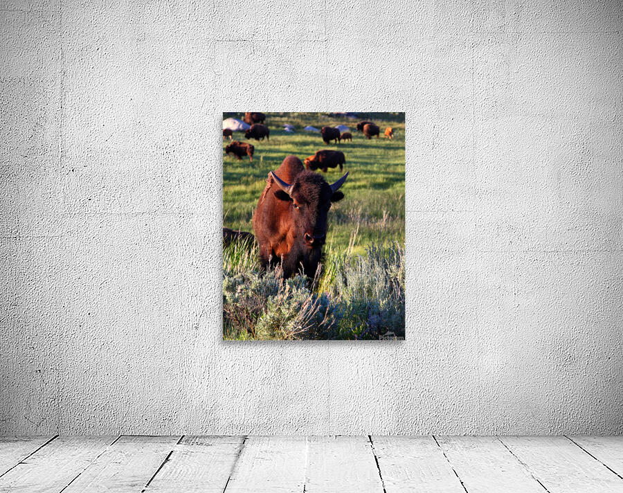 AnimalsInsects 17 Wall Preview