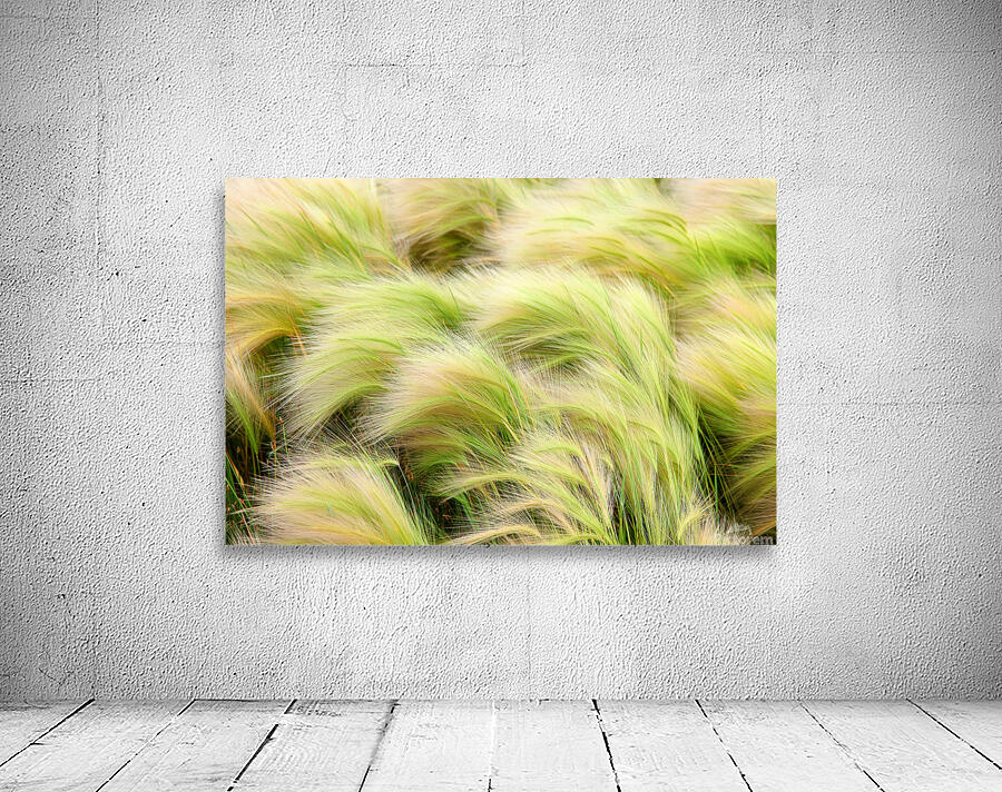 Abstract 58 Wall Preview