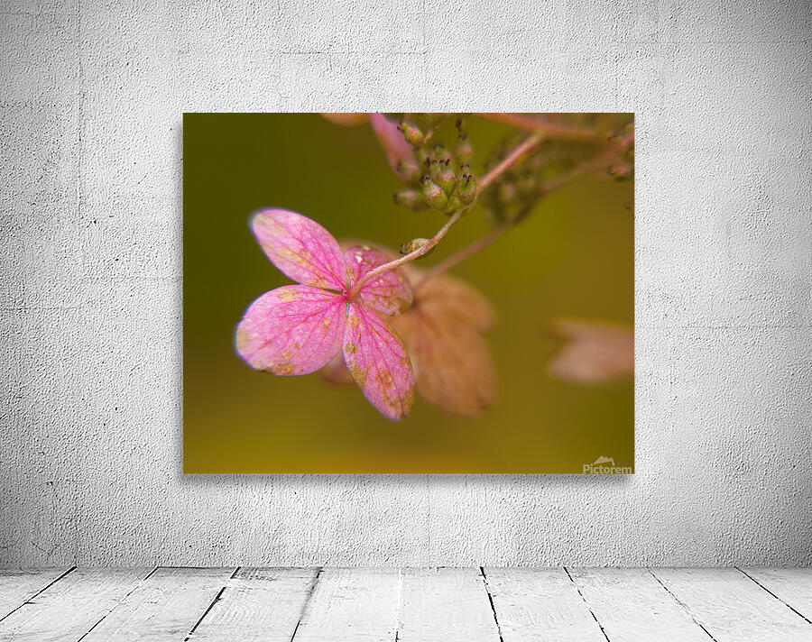 Abstract 59 Wall Preview