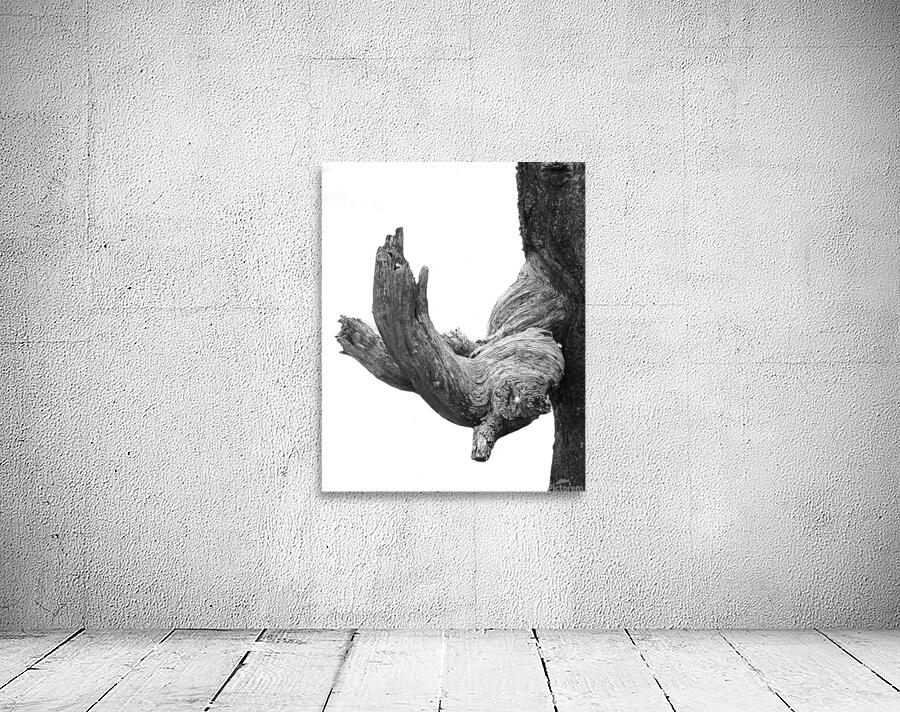 Abstract 60 Wall Preview