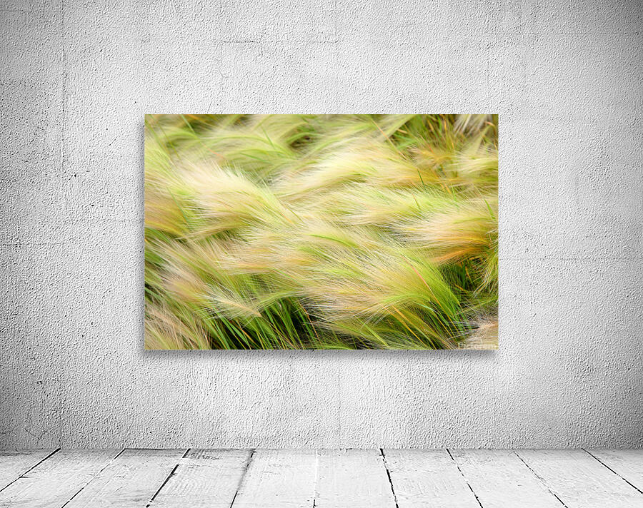 Abstract 63 Wall Preview