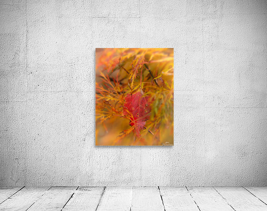 Abstract 65 Wall Preview
