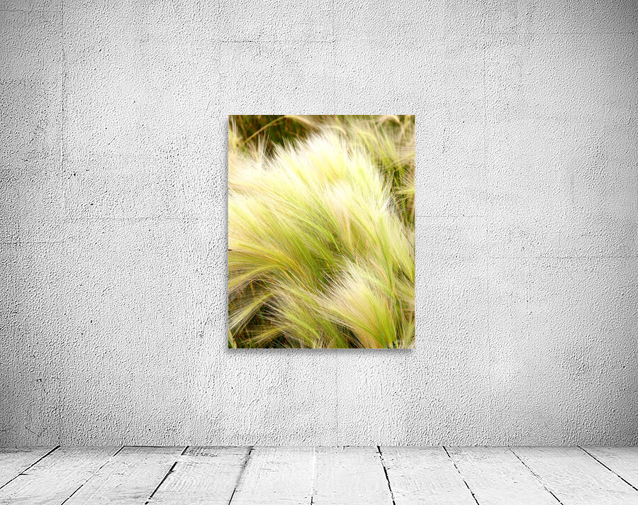 Abstract 66 Wall Preview