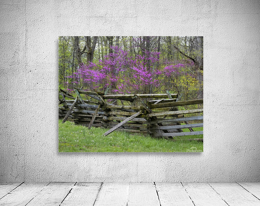 FlowersPlants 1 Wall Preview