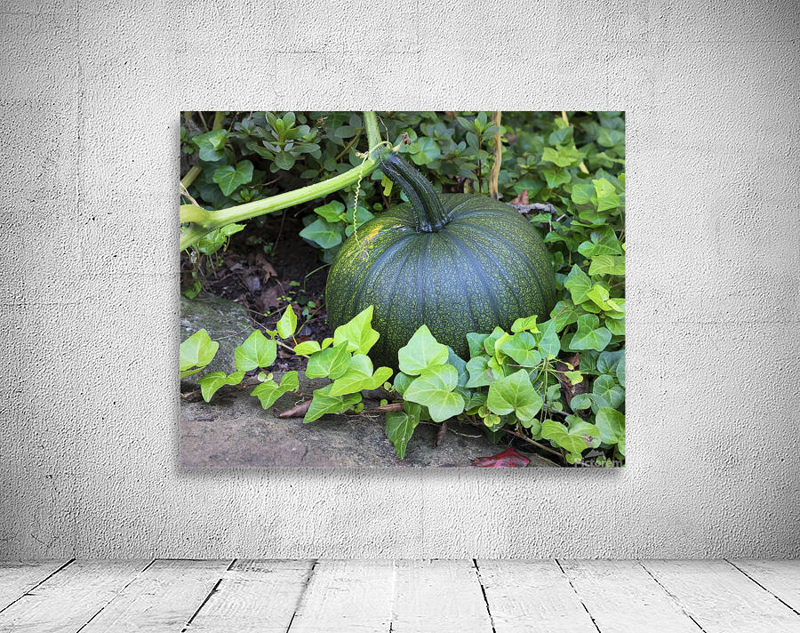 FlowersPlants 9 Wall Preview