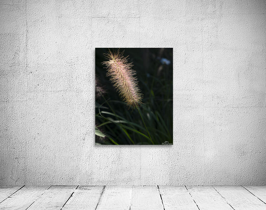FlowersPlants 10 Wall Preview