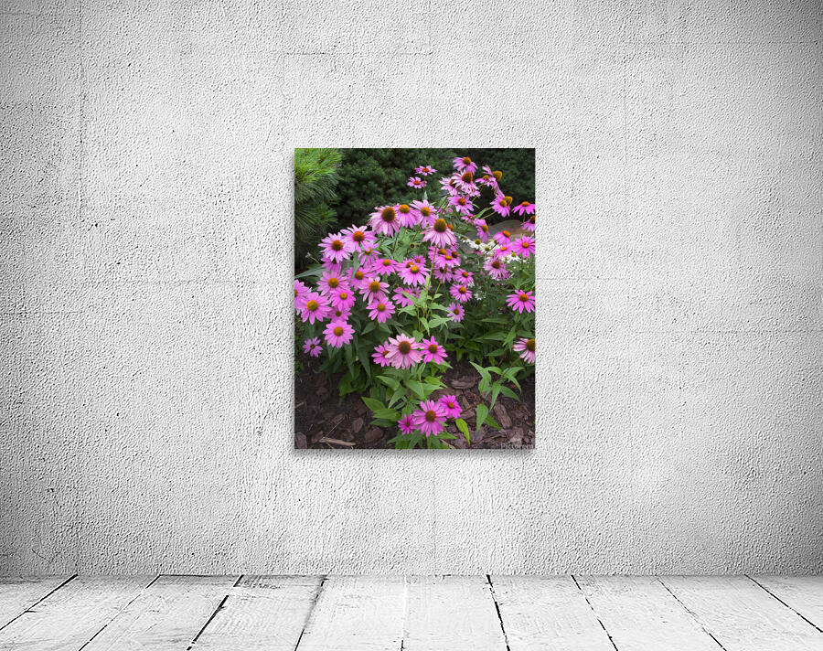 FlowersPlants 14 Wall Preview
