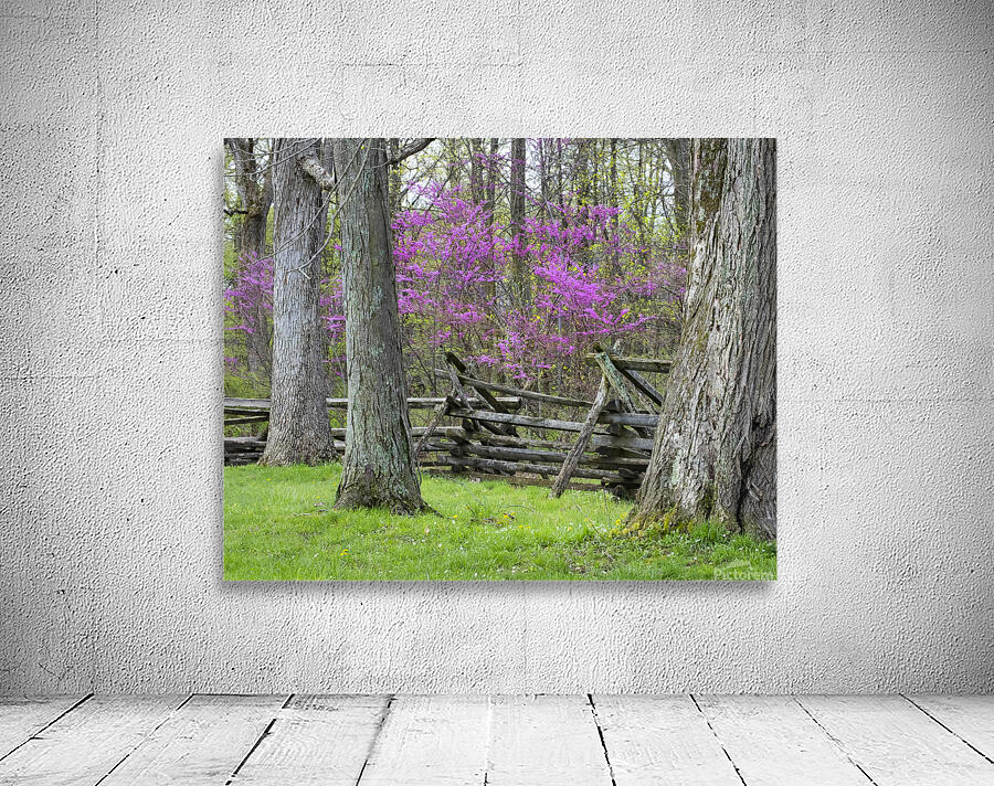 FlowersPlants 15 Wall Preview