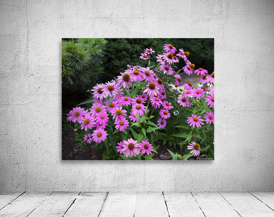 FlowersPlants 18 Wall Preview
