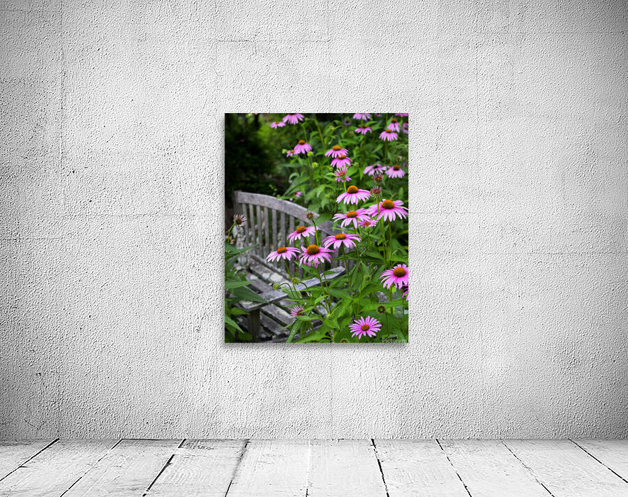 FlowersPlants 24 Wall Preview