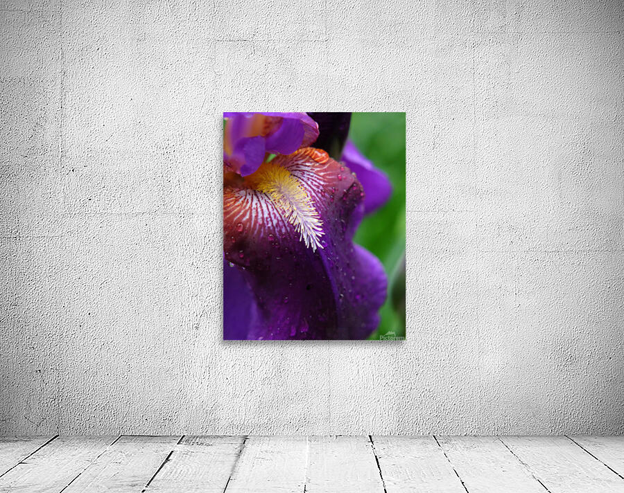 FlowersPlants 30 Wall Preview