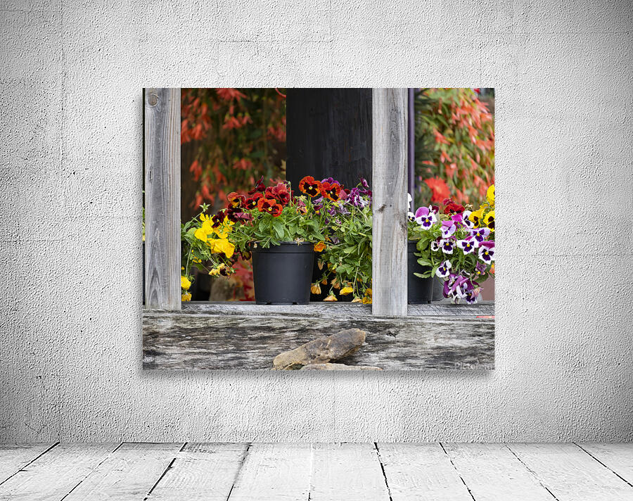 FlowersPlants 32 Wall Preview