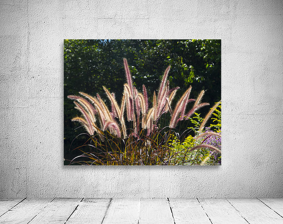 FlowersPlants 36 Wall Preview