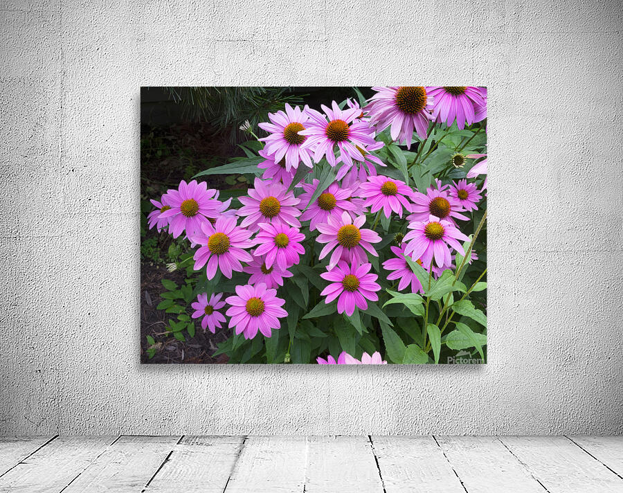 FlowersPlants 37 Wall Preview