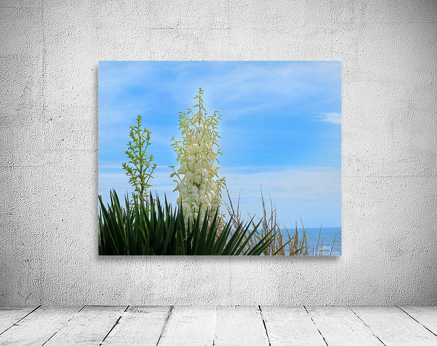 FlowersPlants 42 Wall Preview