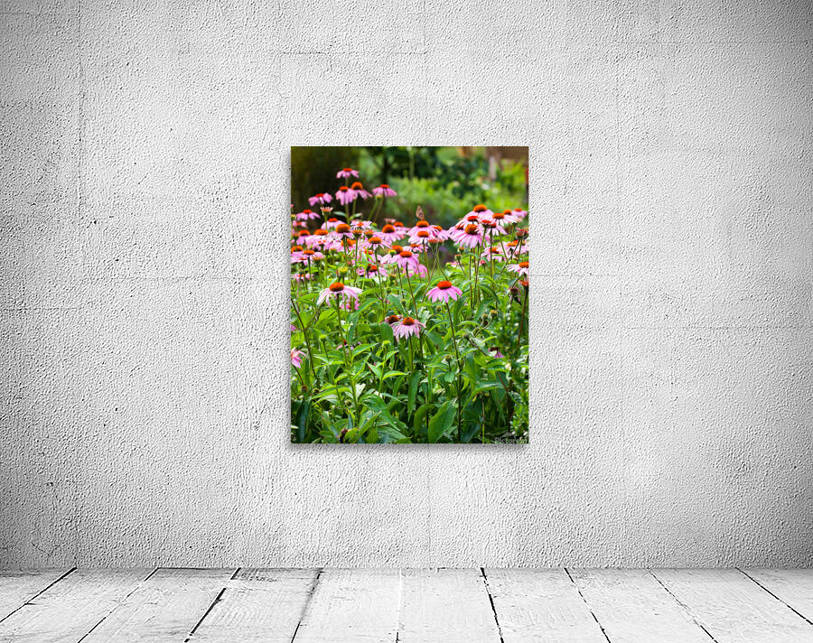 FlowersPlants 43 Wall Preview