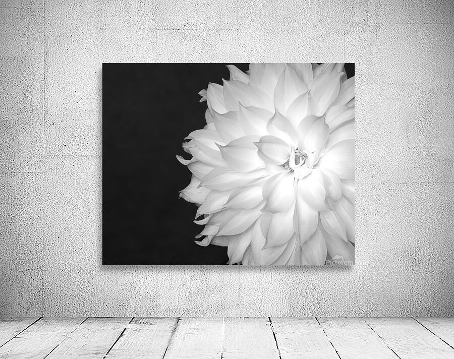 FlowersPlants 45 Wall Preview