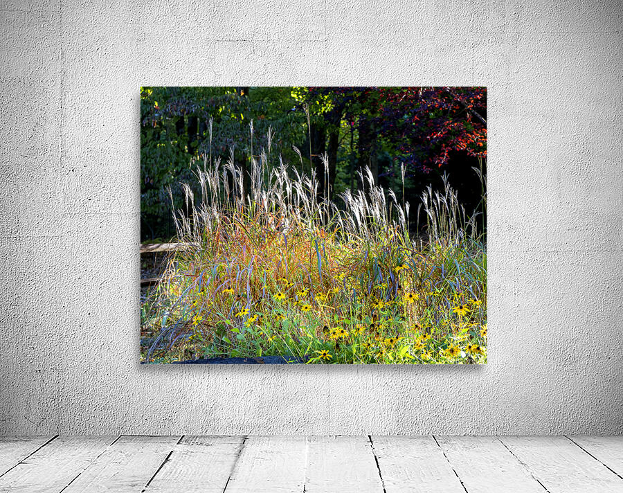 FlowersPlants 48 Wall Preview