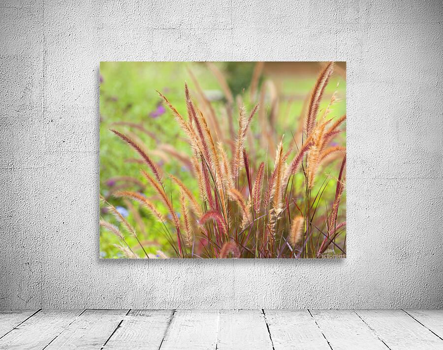 FlowersPlants 49 Wall Preview