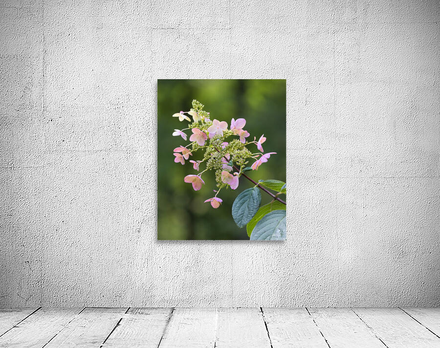 FlowersPlants 52 Wall Preview