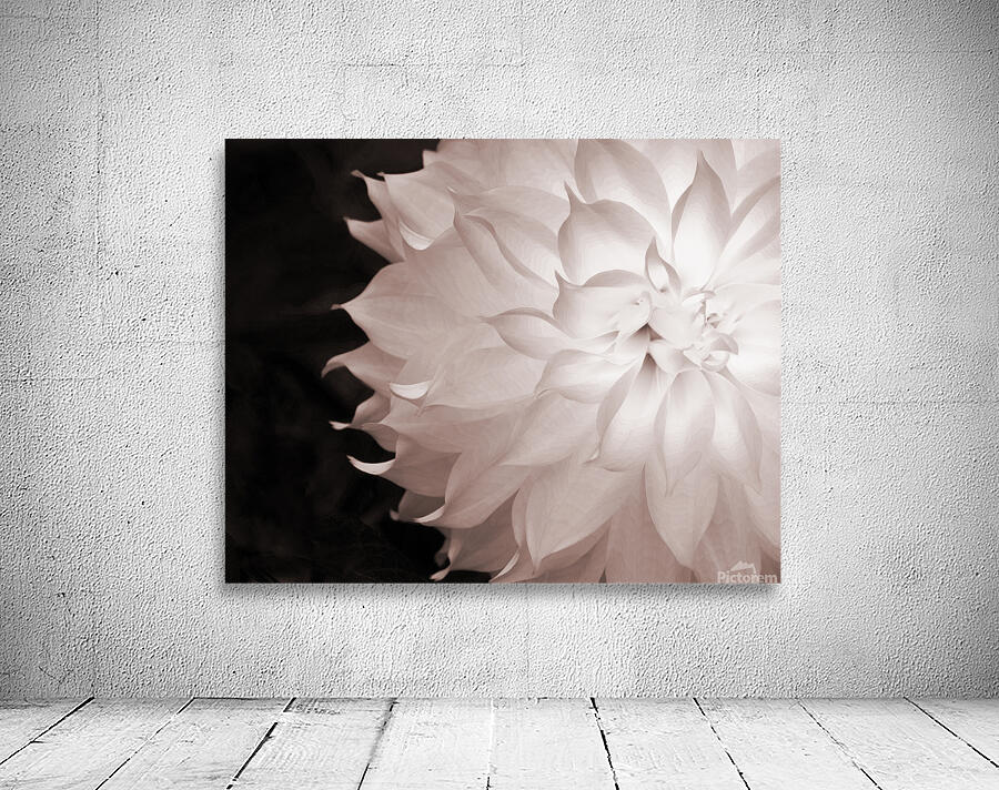 FlowersPlants 55 Wall Preview
