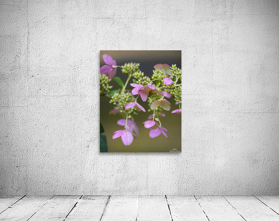 FlowersPlants 56 Wall Preview