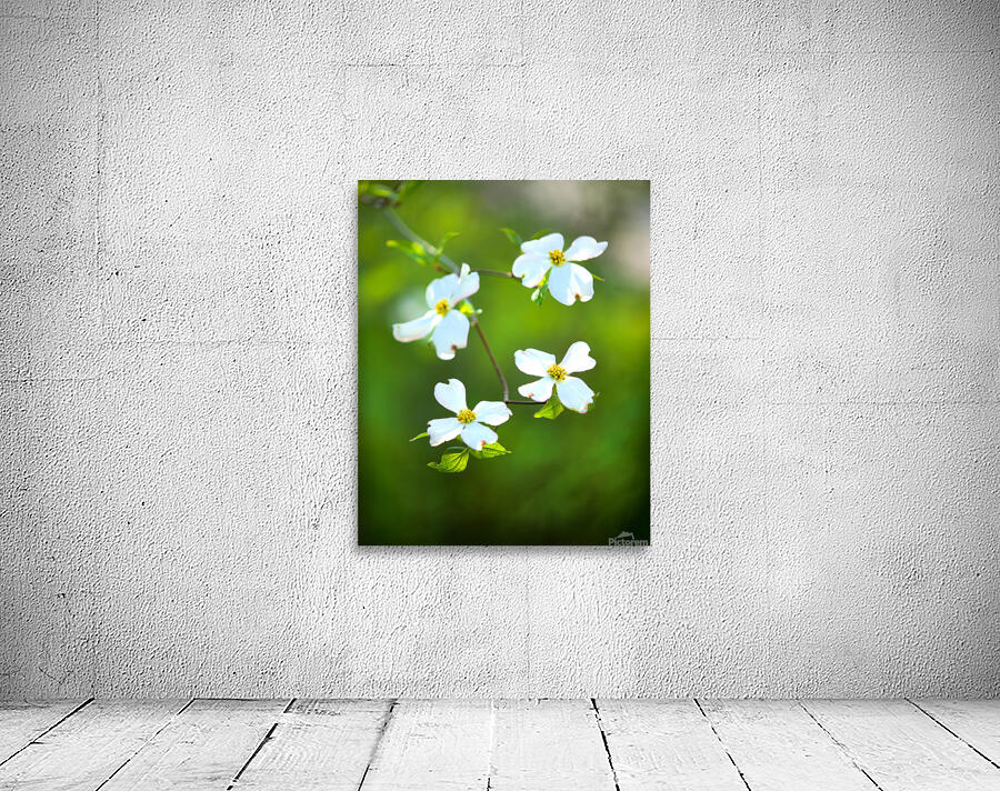 FlowersPlants 58 Wall Preview