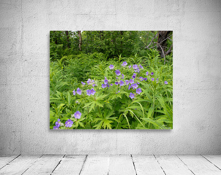 FlowersPlants 59 Wall Preview