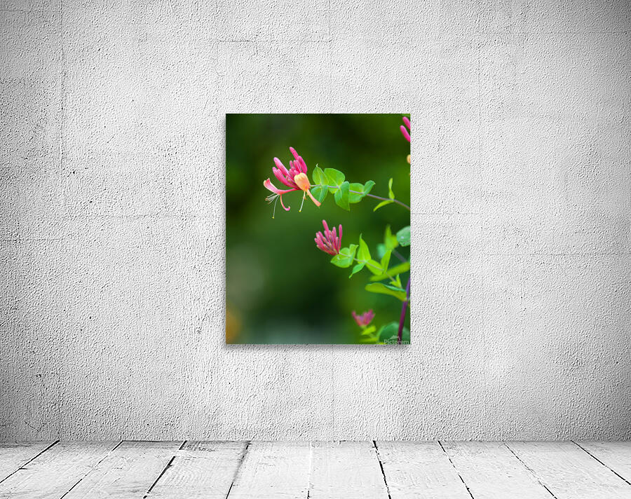 FlowersPlants 62 Wall Preview