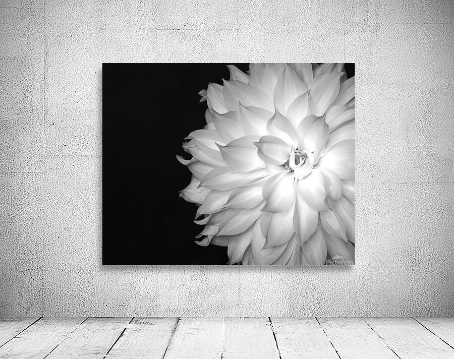 FlowersPlants 64 Wall Preview