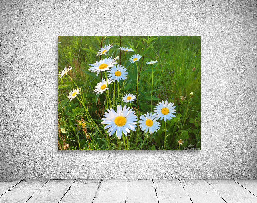 FlowersPlants 66 Wall Preview