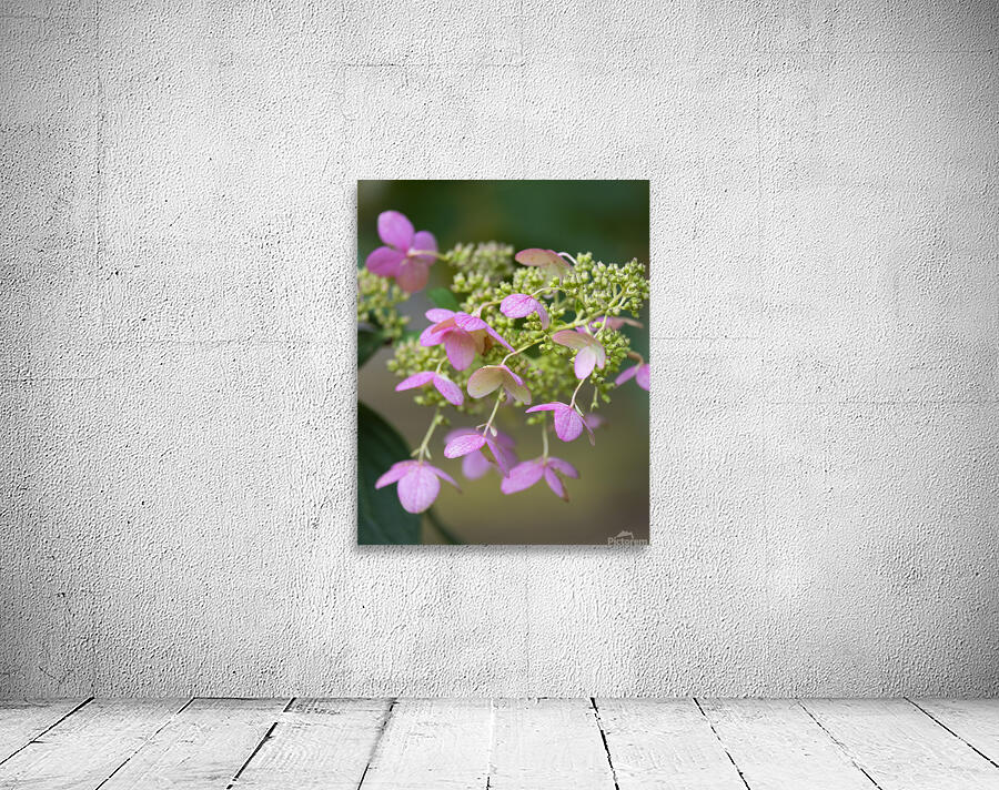 FlowersPlants 68 Wall Preview