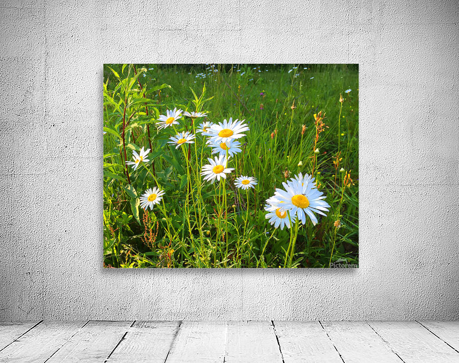 FlowersPlants 71 Wall Preview