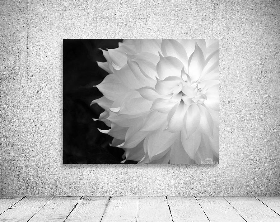 FlowersPlants 75 Wall Preview