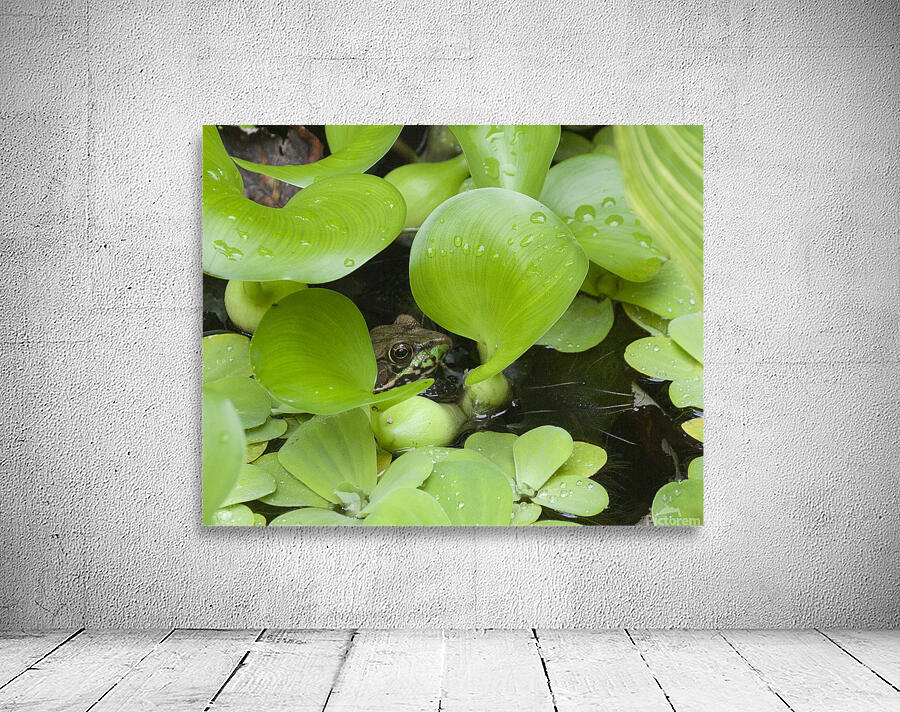 FlowersPlants 82 Wall Preview