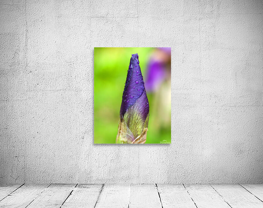 FlowersPlants 83 Wall Preview