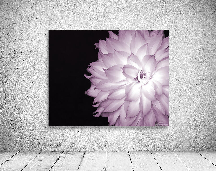 FlowersPlants 86 Wall Preview
