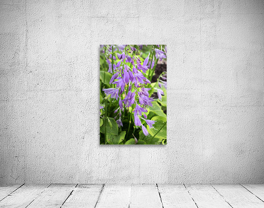 FlowersPlants 87 Wall Preview