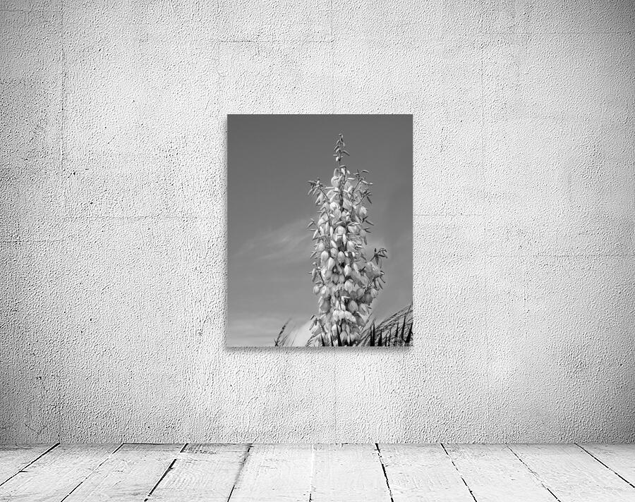 FlowersPlants 89 Wall Preview