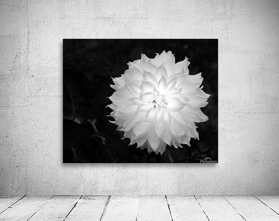 FlowersPlants 91 Wall Preview