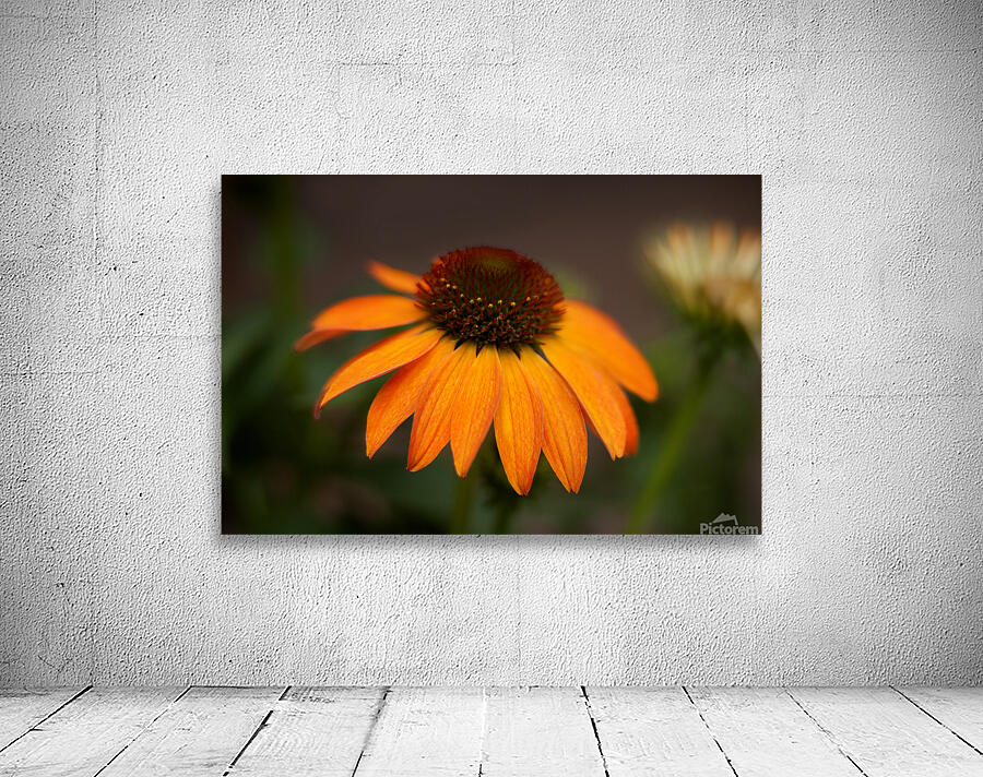 FlowersPlants 93 Wall Preview