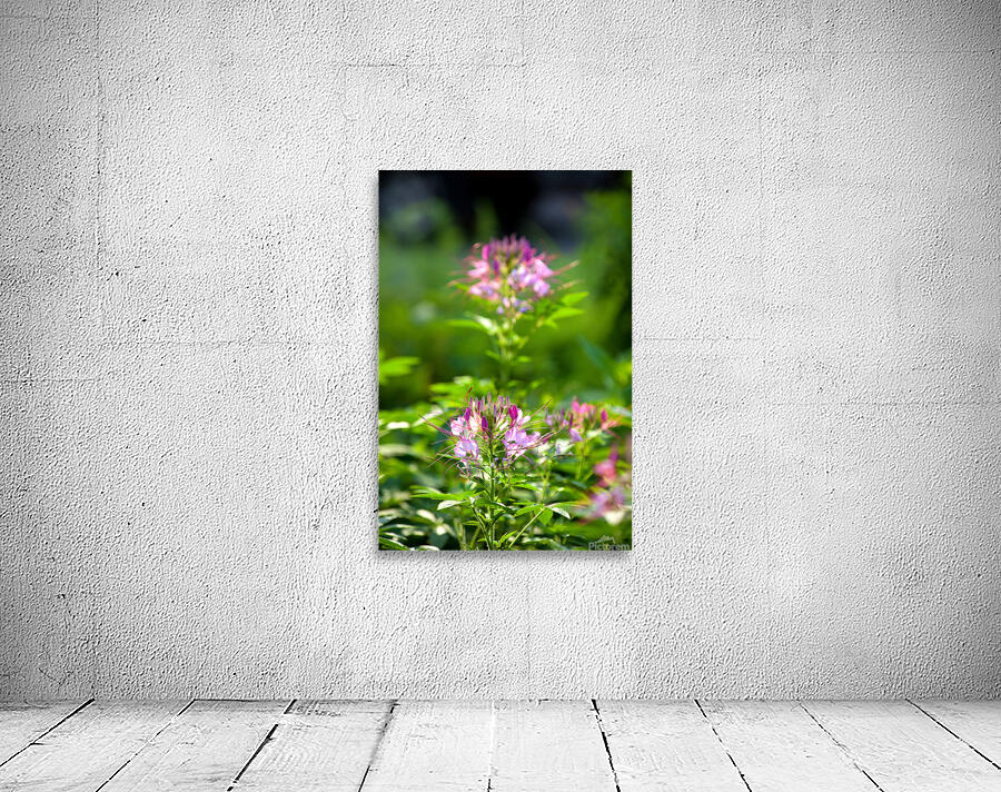 FlowersPlants 94 Wall Preview