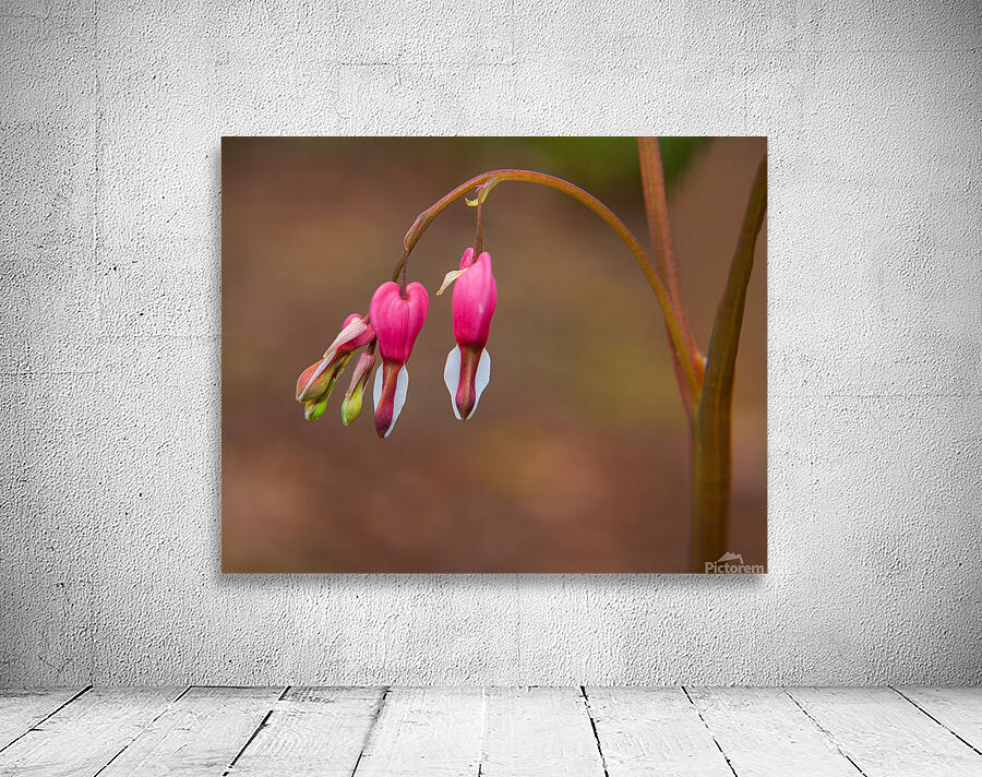 FlowersPlants 95 Wall Preview