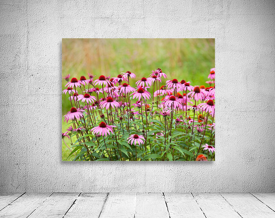 FlowersPlants 96 Wall Preview