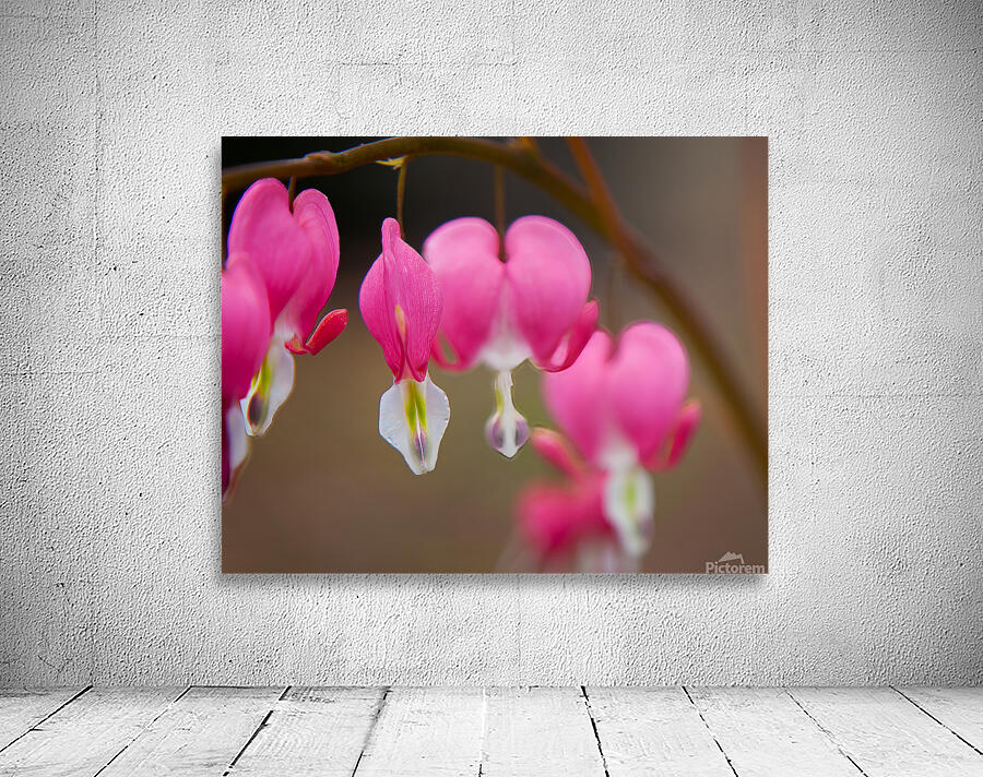 FlowersPlants 98 Wall Preview