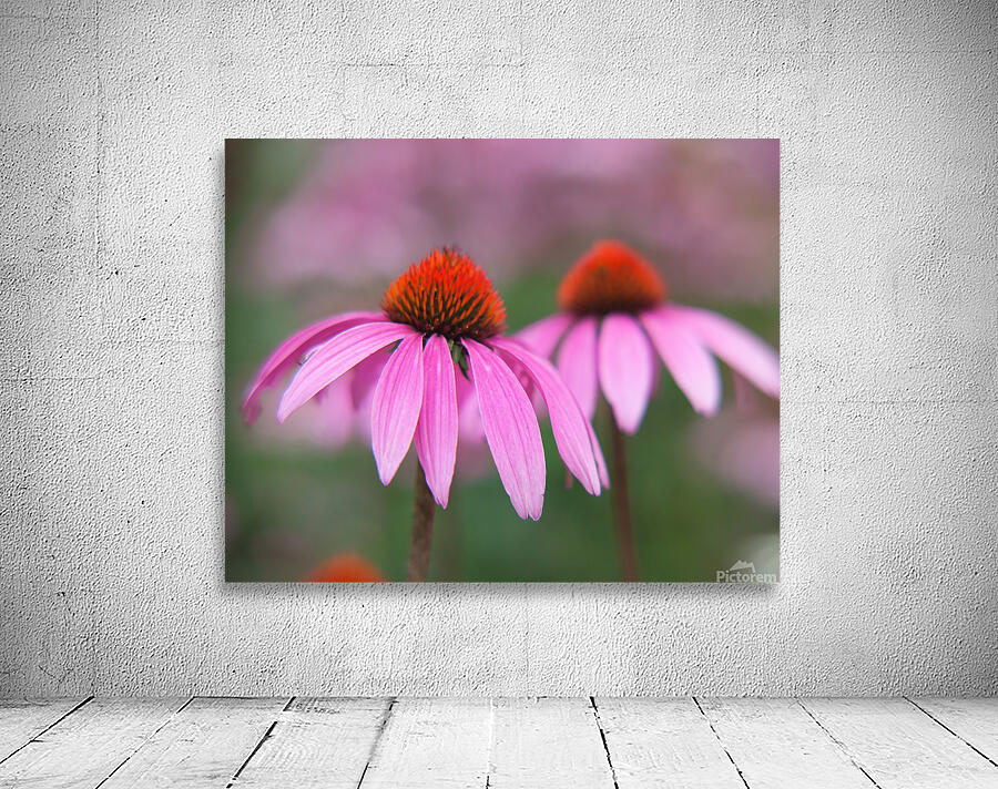 FlowersPlants 105 Wall Preview